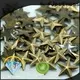 Jpstrass bulk purchase hot fix studs vendor for dress 1