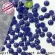 Jpstrass pearl beads and crystals wholesale factory price for dress 1