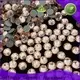 Jpstrass most hotfix rhinestones business for clothing 1