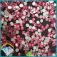wholesale high quality rhinestones rhinestone manufacturer for shoes 1