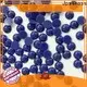 Jpstrass fix sew on crystal beads wholesale factory for online 1