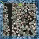 Jpstrass tshirt strass hotfix business for online 1