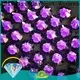 Jpstrass all hotfix rhinestones business for party 1