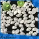 bulk purchase red flat back pearls shape manufacturer for ballroom 1