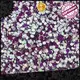 Jpstrass transfer wholesale rhinestones vendor for online 1