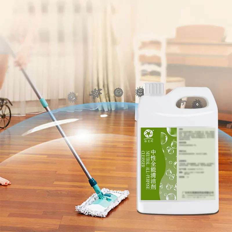 Best Carpet Cleaner Spot Remover Price List 4