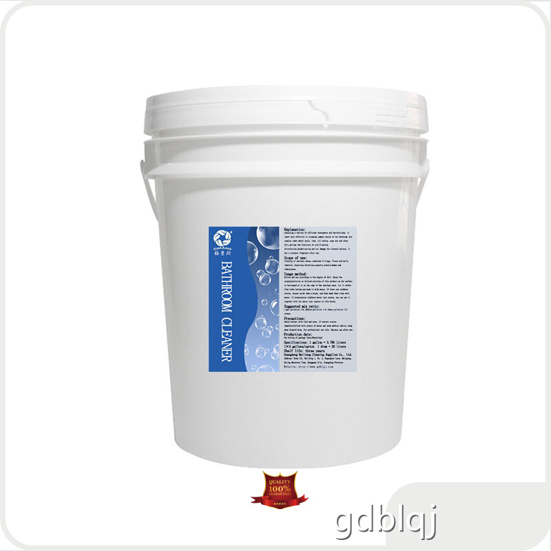 GMANS Toilet Macerator Cleaner Price List 1