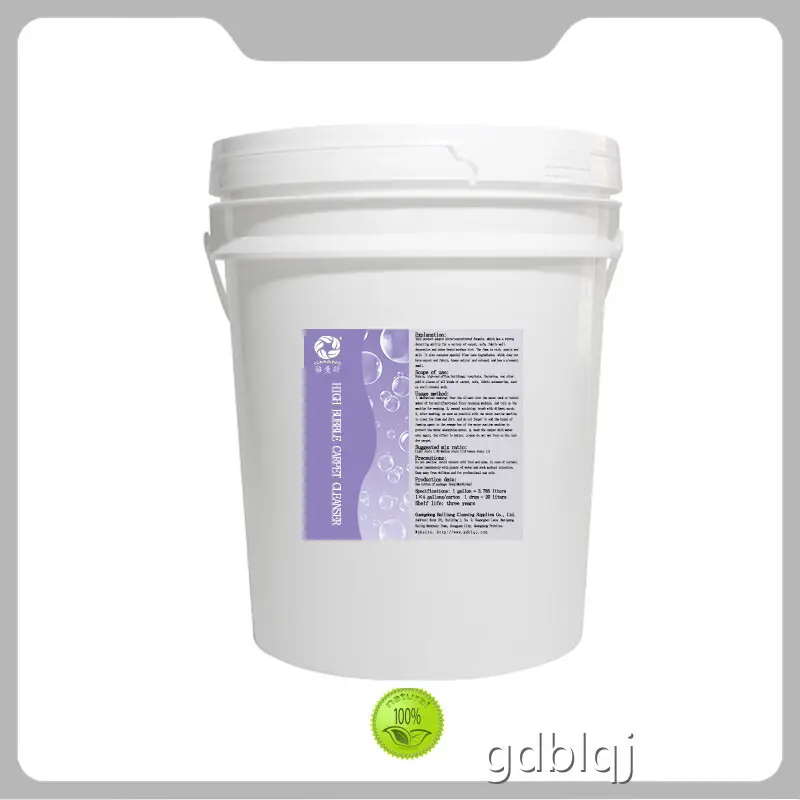 Best Carpet Cleaner Spot Remover Price List-1 1