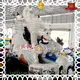 car Custom shape kids bouncy slide KK INFLATABLE rental 1