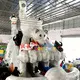 kids slide KK INFLATABLE Brand backyard water slide factory 5