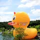 KK INFLATABLE customized large advertising balloons manufacturer for garden 3