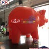 Multiple types of volatile inflatable pig models for advertising 5