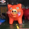 Multiple types of volatile inflatable pig models for advertising 1