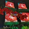 portable inflatable advertising animal model various styles for exhibition 2