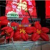 portable inflatable advertising animal model various styles for exhibition 4