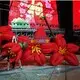 portable inflatable advertising animal model various styles for exhibition 4