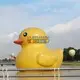 KK INFLATABLE creative yard inflatables supplier for garden 2