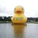 KK INFLATABLE creative yard inflatables supplier for garden 4