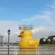 portable giant advertising balloons colorful for shopping mall KK INFLATABLE 2