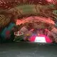 KK INFLATABLE animal model inflatable dome tent factory price for Christmas 3