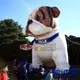 portable giant inflatable advertising various styles for shopping mall 4