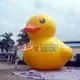 KK INFLATABLE animal model yard inflatables various styles for shopping mall 2