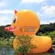 KK INFLATABLE animal model yard inflatables various styles for shopping mall 3