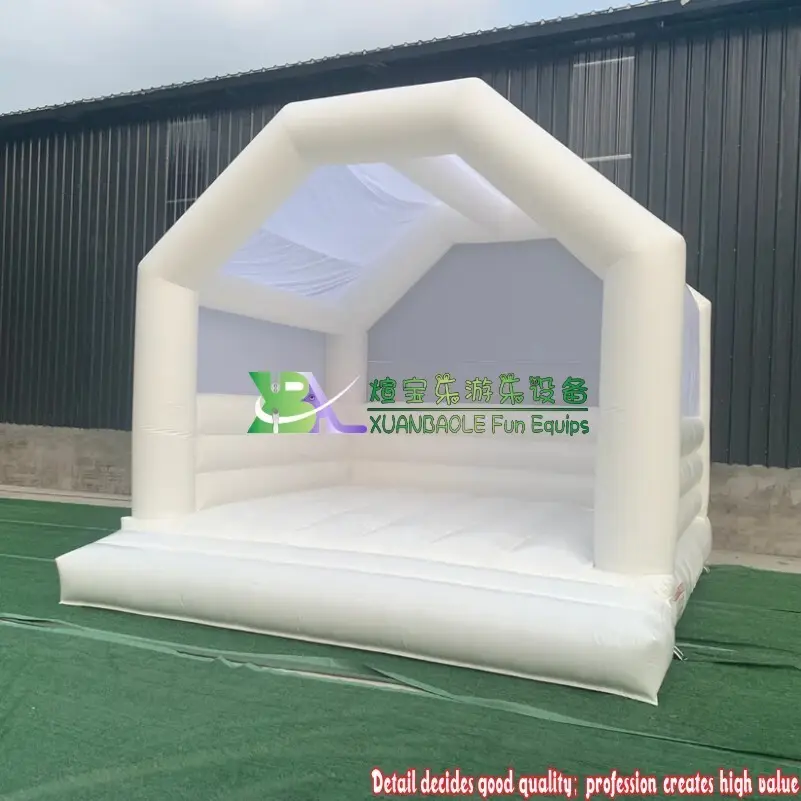 For Outdoor Water Inflatable Bouncer Artwork Theme Spray Printing by KK Inflatable 2