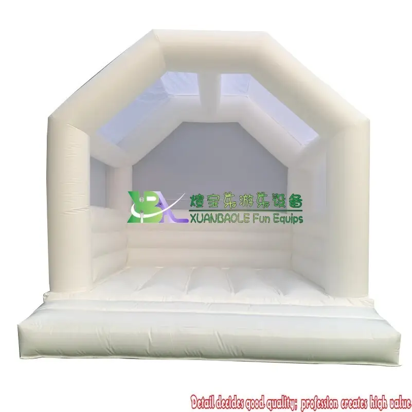 For Outdoor Water Inflatable Bouncer Artwork Theme Spray Printing by KK Inflatable 6