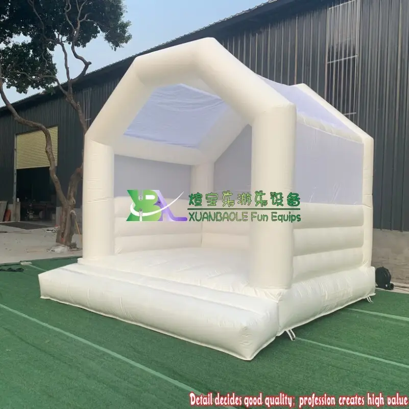 For Outdoor Water Inflatable Bouncer Artwork Theme Spray Printing by KK Inflatable 5