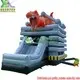 Factory Price Wet and Dry Combo Inflatable Directly Sale for Home 6