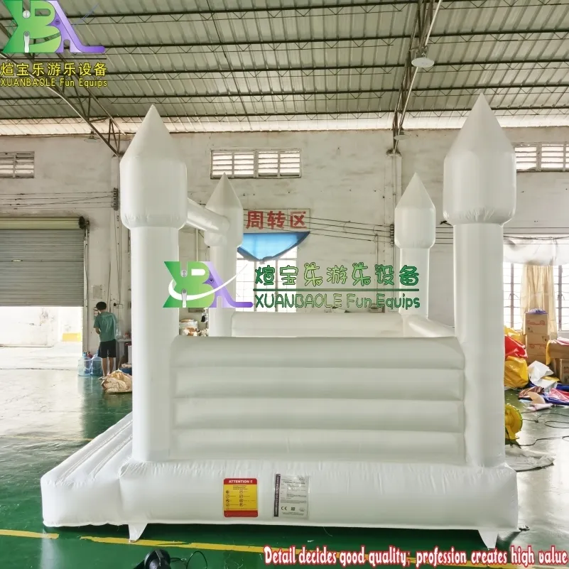 KK Inflatable Wet and Dry Inflatable Bouncers Artwork Theme Spray Printing Wet and Dry Inflatable Bouncersbest Supplier 7