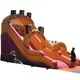 Outdoor Inflatable Slide for Industry CEpersonalized 5