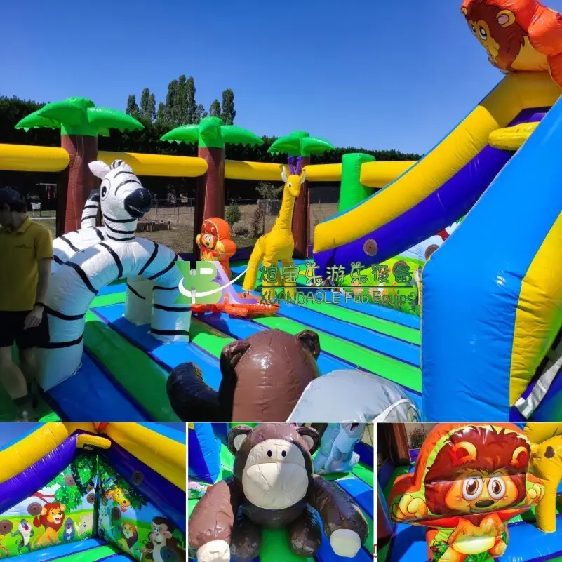 Professional Inflatable Combos for Sale for Home 7