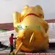 Hot Sellingblow Up Advertising Inflatables for Sale 2732warp Color 8