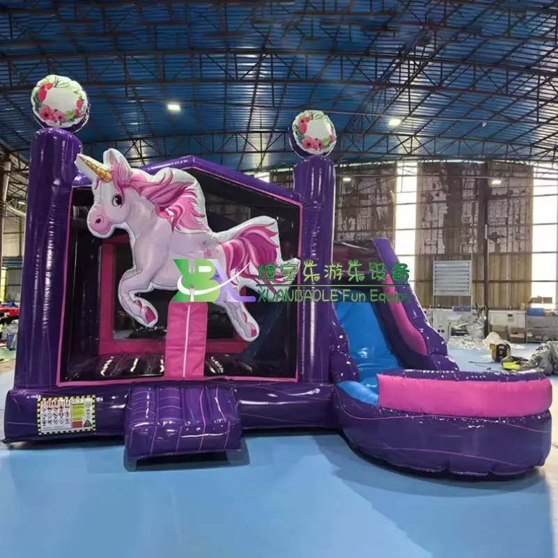 Good Selling Inflatable Bounce House Combo for Industry 3