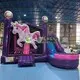 Good Selling Inflatable Bounce House Combo for Industry 3