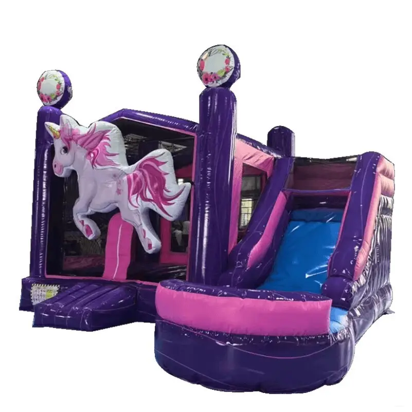 Good Selling Inflatable Bounce House Combo for Industry 5