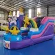 Creative 5 in 1 Combo Inflatable 5 in 1 Combo Inflatable Company 2