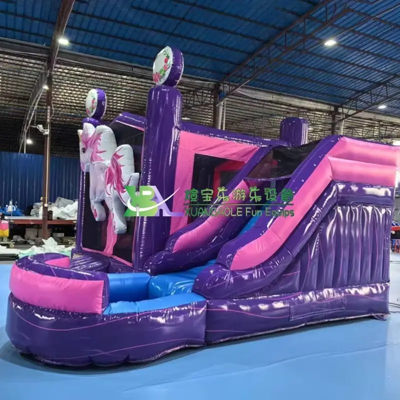 Good Selling Inflatable Bounce House Combo for Industry 9