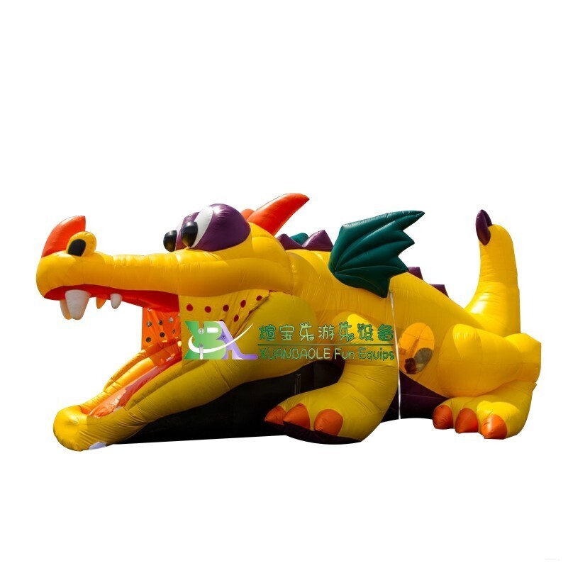 Parque infantil inflable con diseño de dragón escondido y tobogán 2