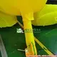 For Park Inflatable Santa Large 0.55mmPVC Tarps by KK Inflatable 6