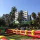 Hot Selling Inflatable Basketball Inflatable Basketball Company 5
