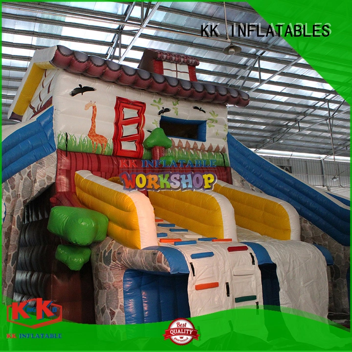 slide pool kids water slide transparent pig for swimming pool KK INFLATABLE 1