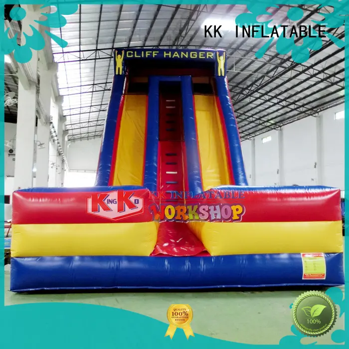creative blow up water slide transparent pig manufacturer for parks 1
