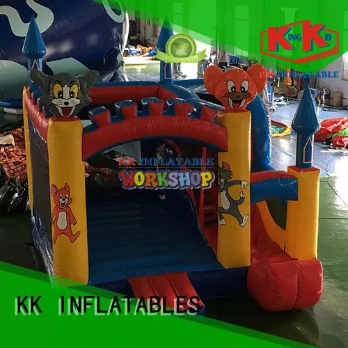 creative big water slides transparent pig manufacturer for paradise 1