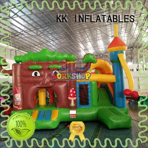 KK INFLATABLE transparent pig inflatable slide supplier for exhibition 1