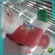 KK INFLATABLE pvc outdoor inflatables colorful for garden 1
