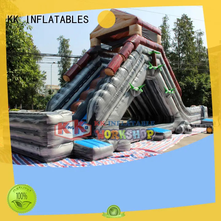KK INFLATABLE transparent pig inflatable slide manufacturer for exhibition 1
