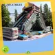 KK INFLATABLE transparent pig inflatable slide manufacturer for exhibition 1